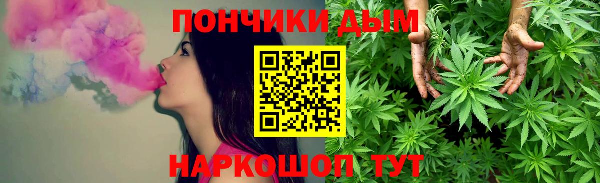 Конопля планчик  Бошки марихуана Amnesia  Вход с VPN  Киселёвск  Шишки марихуана семена 
